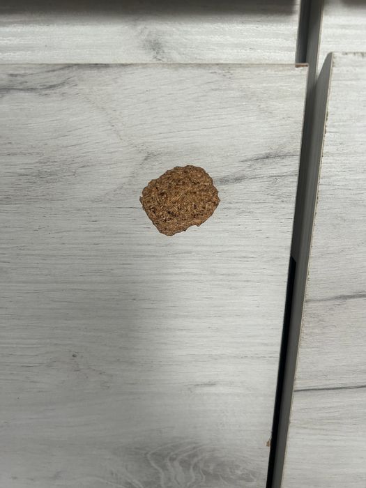 Szafa Wójcik zakupiona w Agacie