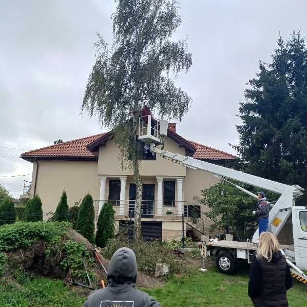 Podnośnik koszowy, wycinka drzew
