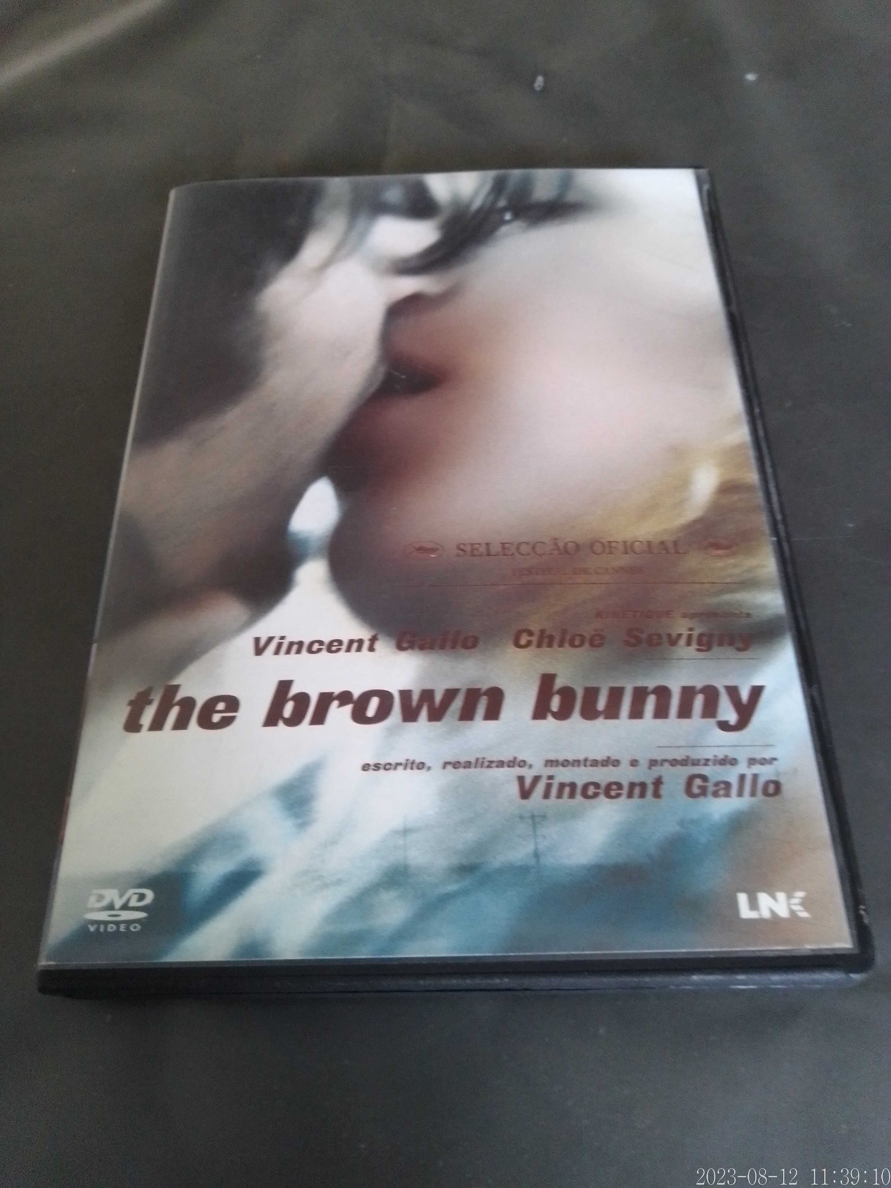 DVD The Brown Bunny Filme Leg. Em Port. De Vincent Gallo Chloe Sevigny