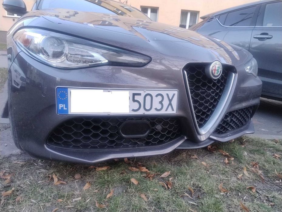 Ramka mocowania tablicy rejestracyjnej Alfa Romeo Giulia 4C Stelvio