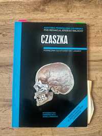 Anatomia prawidłowa człowieka Czaszka, Jerzy Walocha