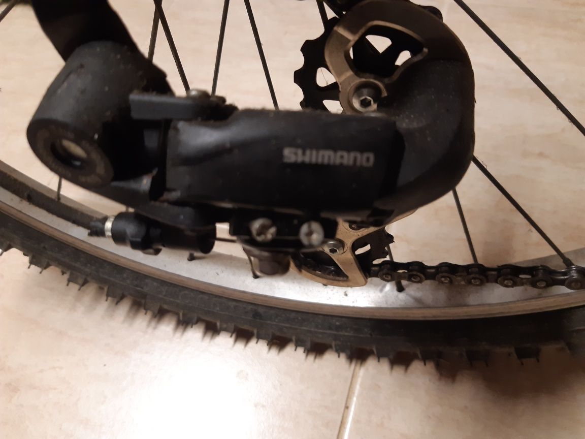 Duas bicicletas   .