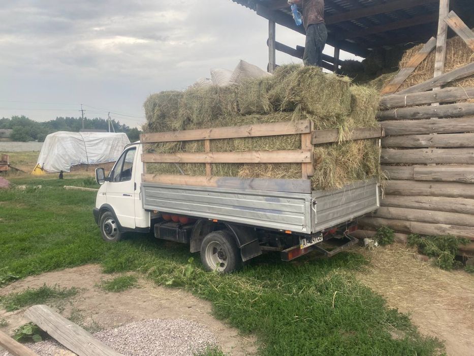 Продається сіно в тюках
