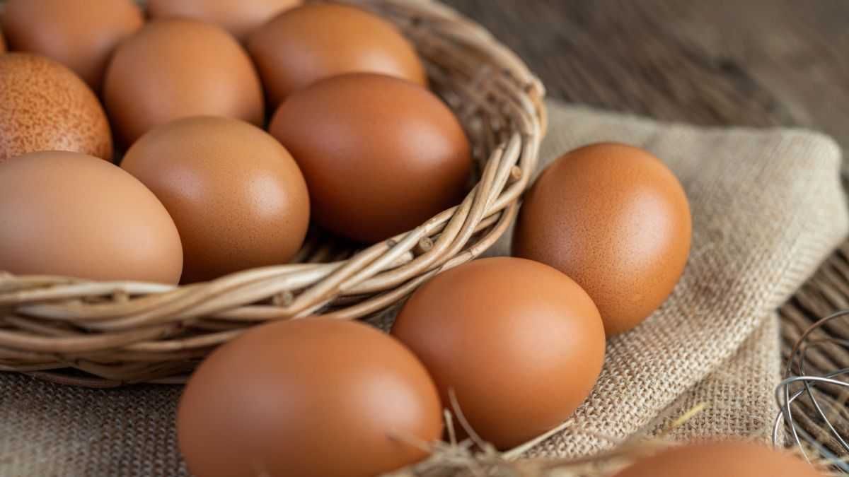 Продам Домашні Курячі Яйця