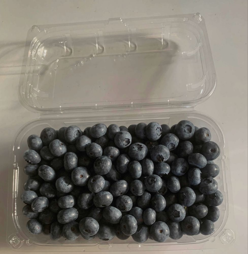 Mirtilos biologicos