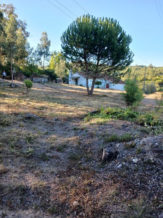 Vende-se quinta sitio ideal para passar férias soalheiro e sossegado