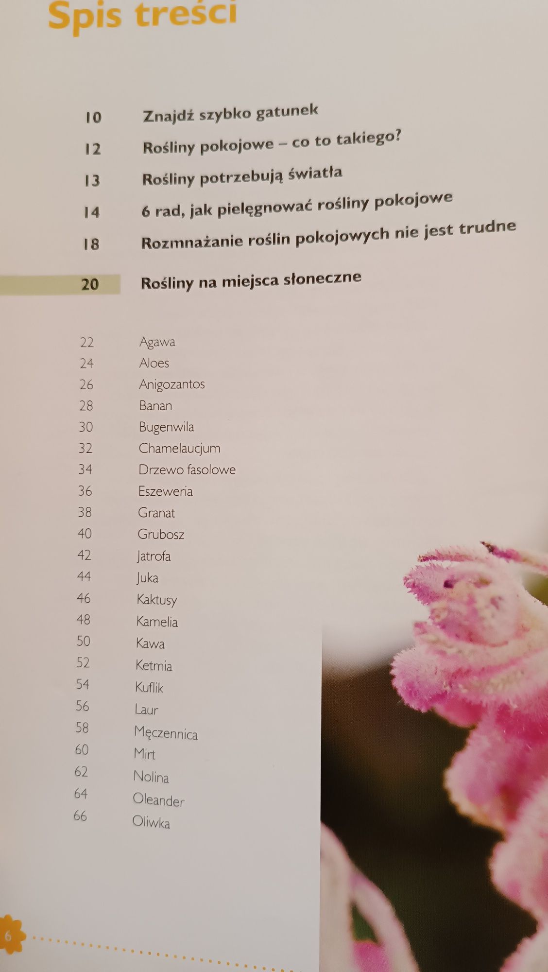 Encyklopedia roślin pokojowych