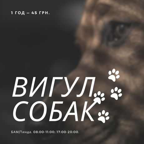 Вигул собак БАМ-Тинда / 45 грн / вигул собаки
