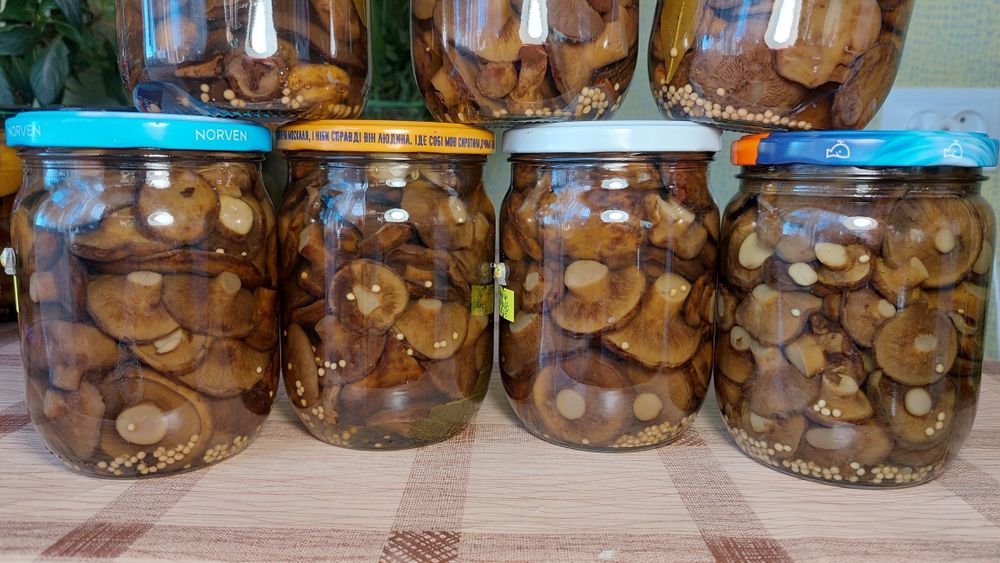 Гриби в асортименті мар. 2025 року