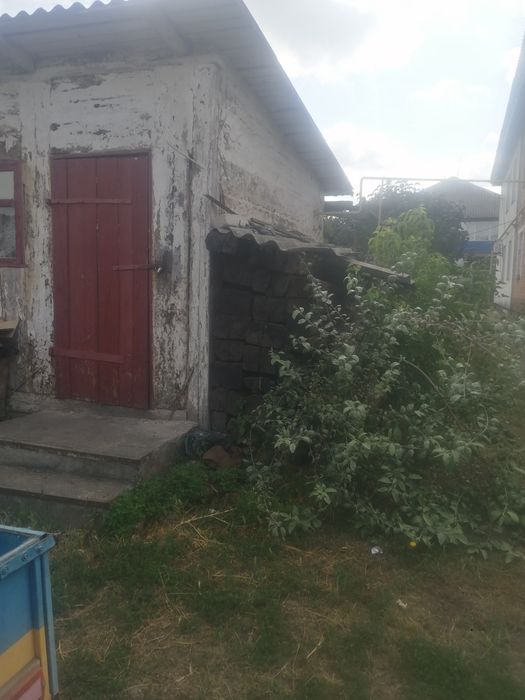 Прев'ю фото 14