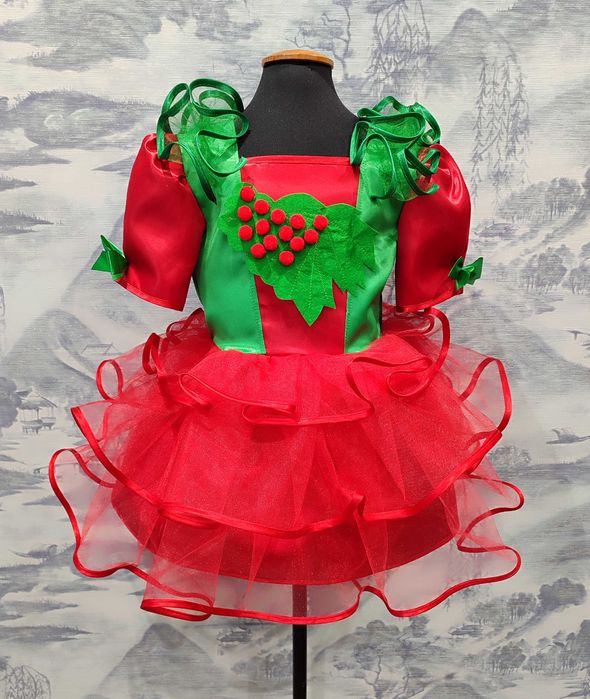 Калина. Карнавальний, дитячий костюм