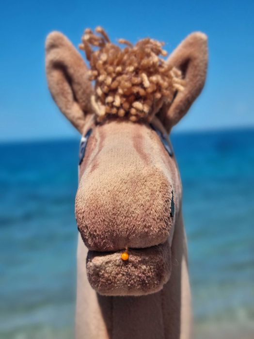 Hobby horse a4/a5