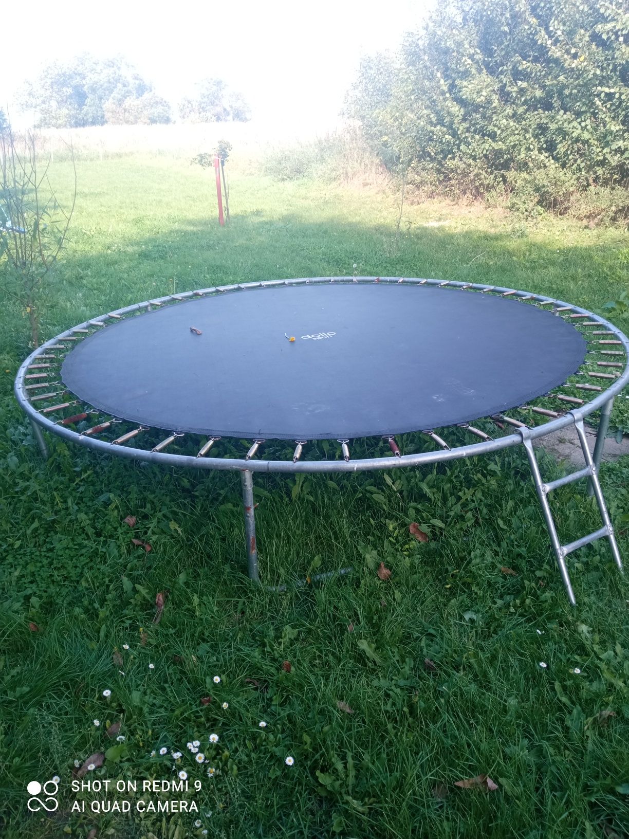 Trampolina jak na foto