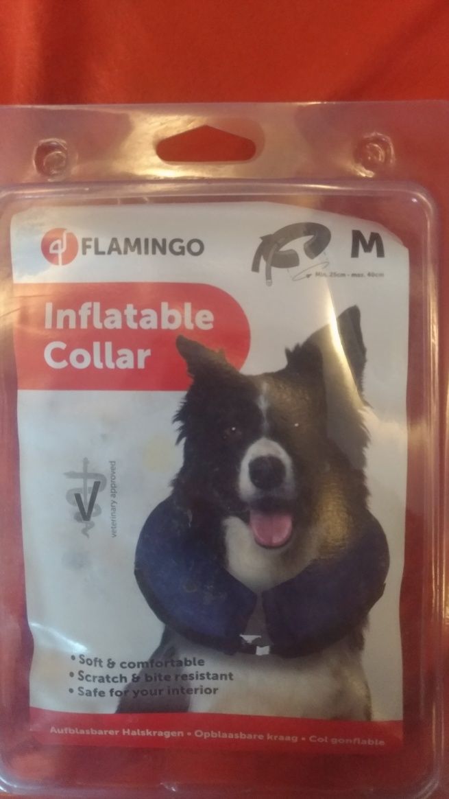 Coleira Isabelina insuflável para cão