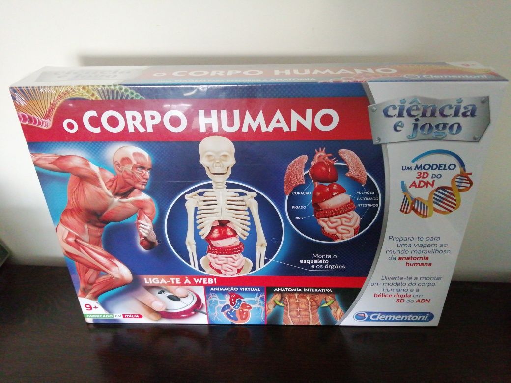 Jogo Lúdico O Corpo Humano