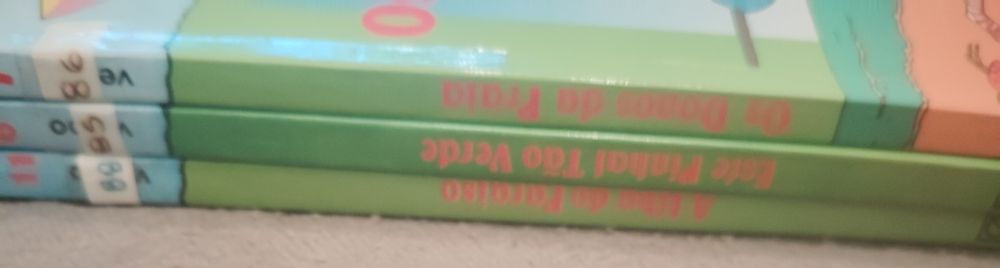 Livros Juvenis Coleção Terra Verde Verbo Usados