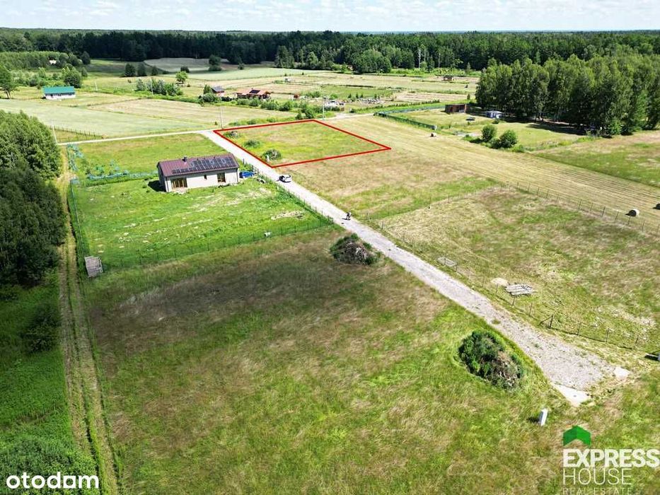 MPZP | prąd | 1h od Wwy | Park Krajobrazowy