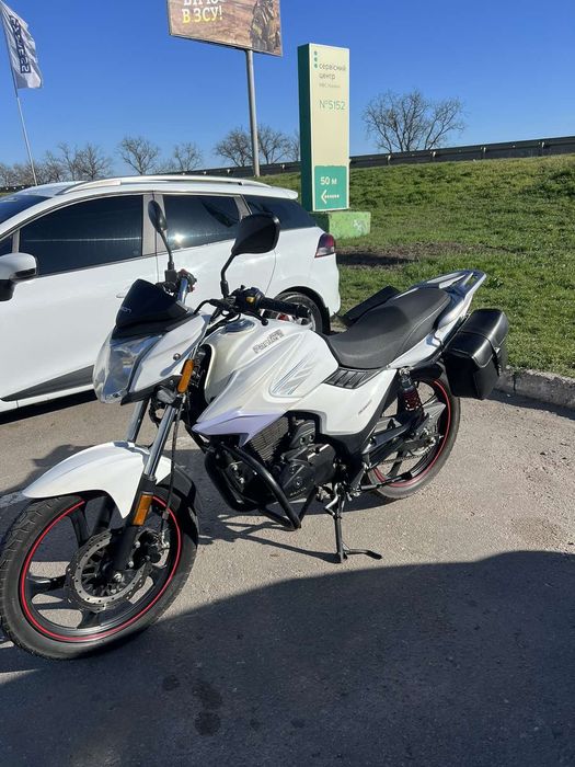 Geon pantera 202cbf