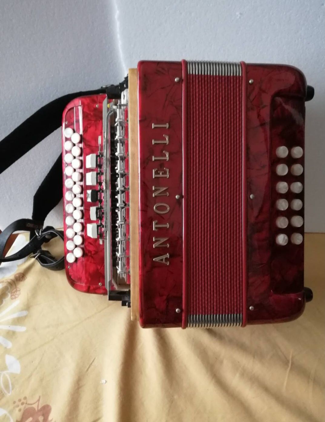 Concertina Antonelli como nova