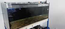 Aquario 300 litros 120×50×50