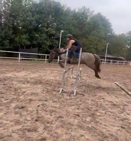 Kuc C Grupa do sportu, ambitnej rekreacji