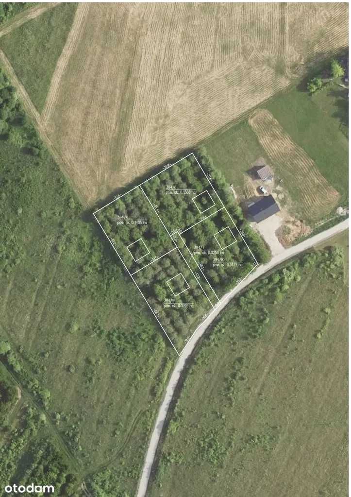 Sprzedam działki w Zbrodzicach 3km od Buska Zdroju