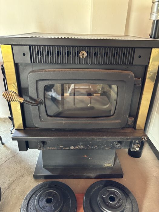 Salamandra a Pallets 200€