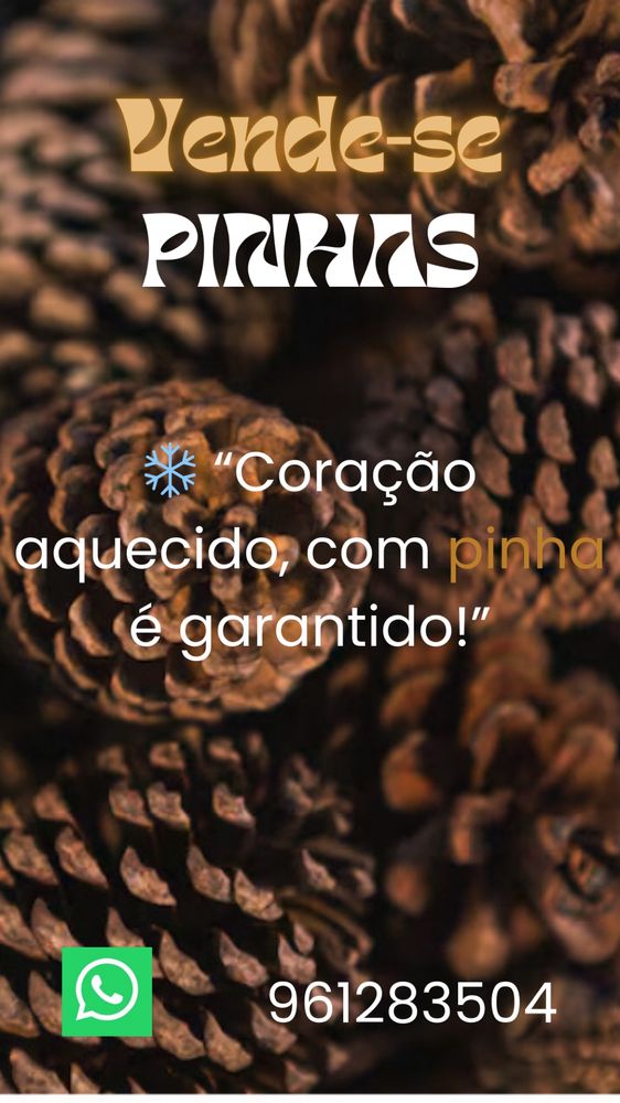 Vende-se pinhas !!!