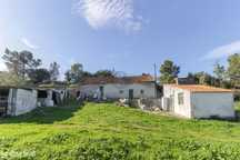 Quinta ribatejana de 34.762 m2 c/ moradia e anexos