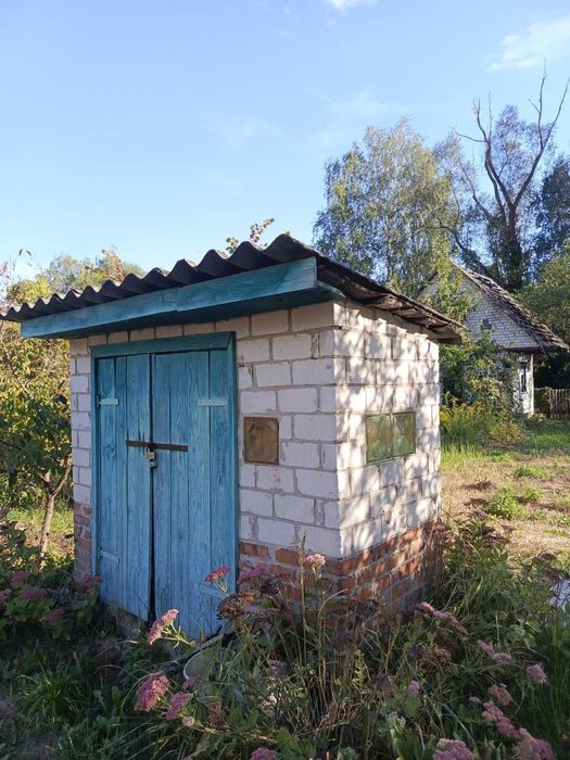 Дача ЗАЗ поряд із зупинкою.