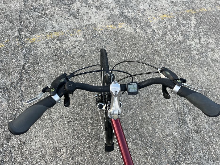 Rower meski Germatec