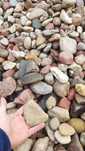 zwir,ziemia,piasek,kamien gabion,pospolka,transport wywrotka 5 - 10 -