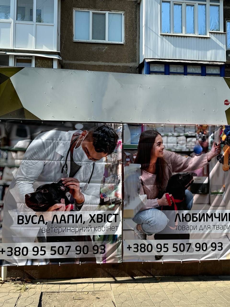 Ветеринарный врач (консультация, лечение животных)