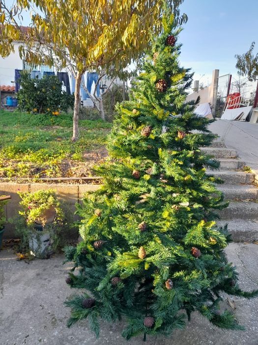Árvore de Natal em bom estado