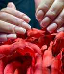 Mistrzyni MANICURE Poszukiwana