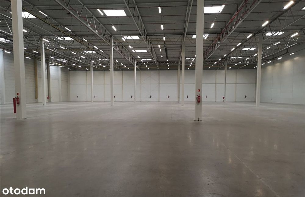 Magazyn HALA pusta 2750m2 +Biuro / Duży plac / Przy A4, DPD / Rzeszów