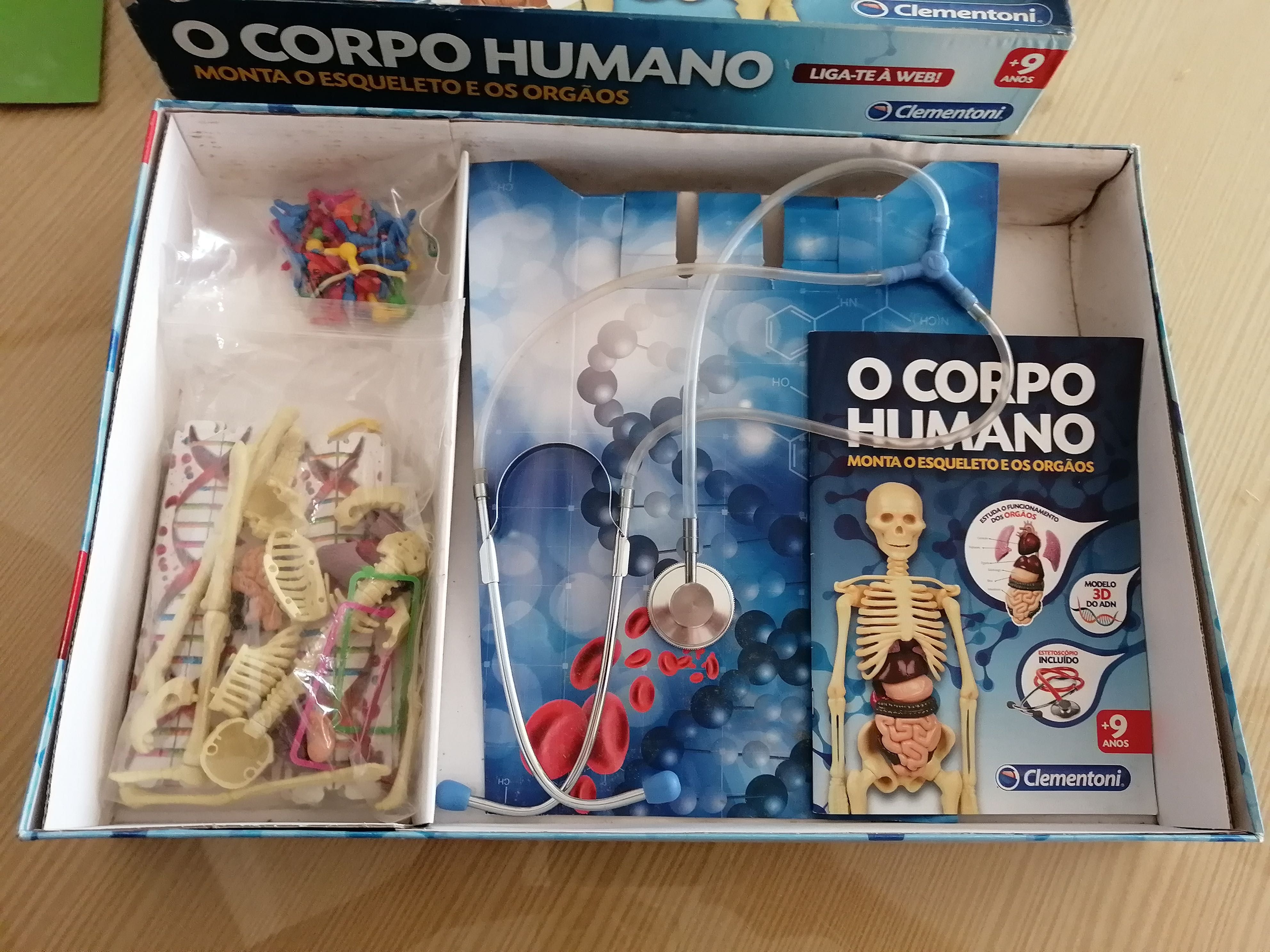 jogo temático o corpo humana