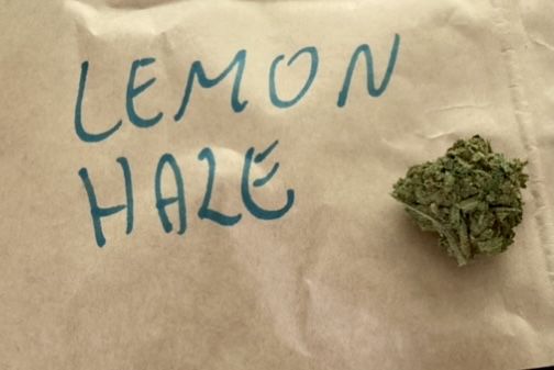 LEMON HAZE 250g Premium CBD THC >0,3% Marihuana Szara Strefa