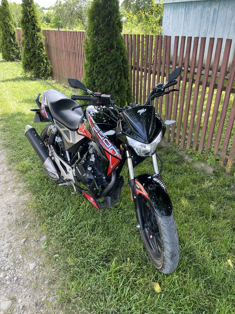 Geon Pantera 200