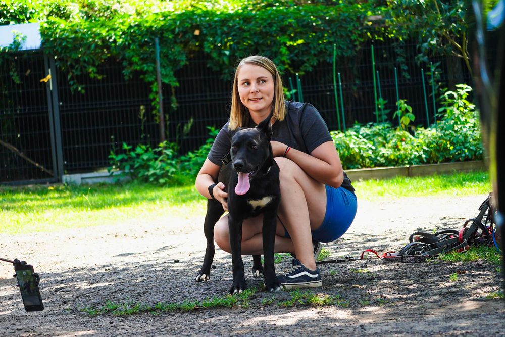 Parker - młody, energiczny pies szuka domu