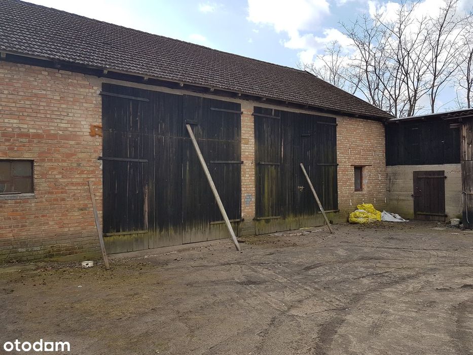 Pomieszczenia gospodarcze wynajmę.