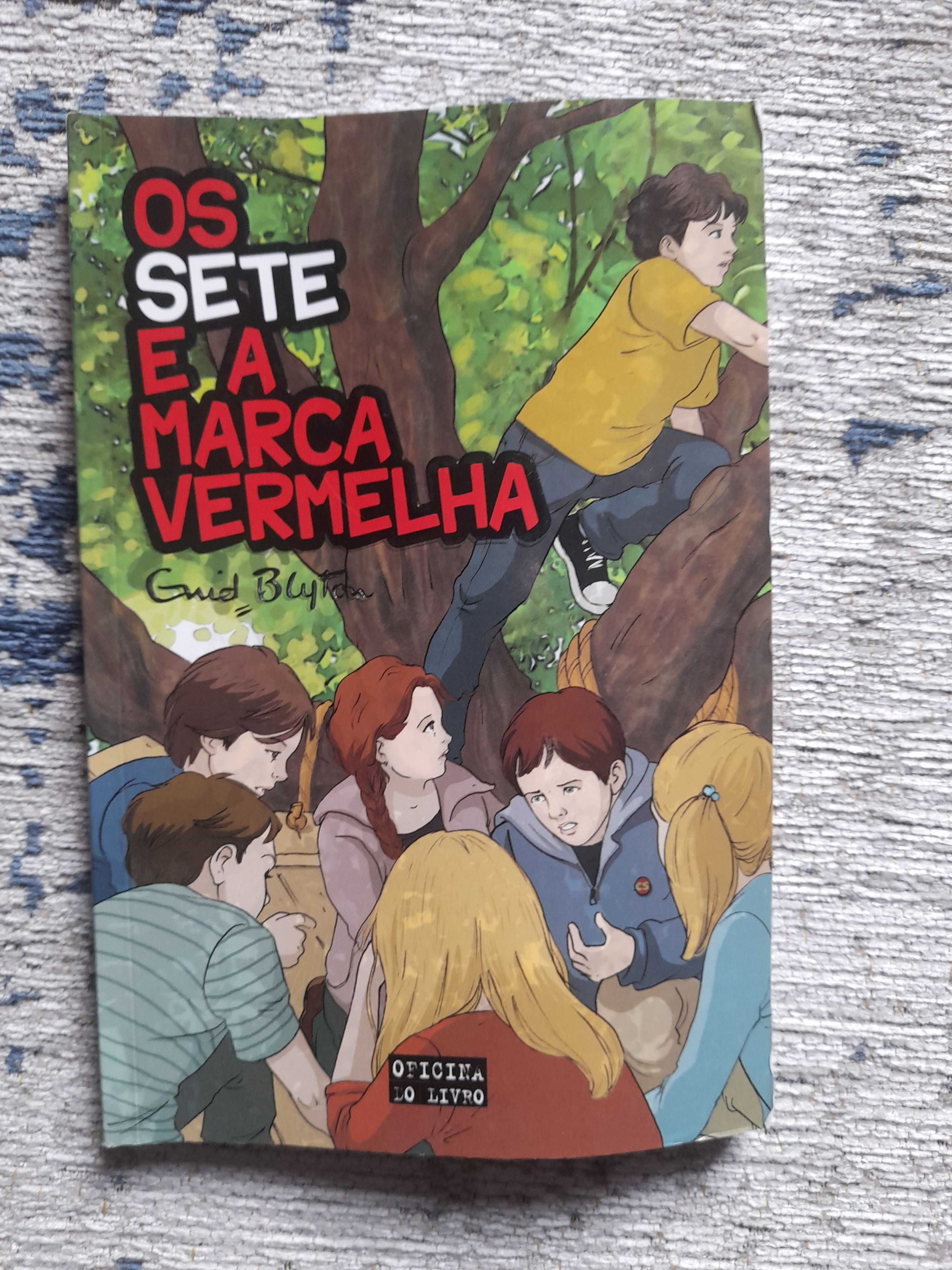 Os Sete e a Marca Vermelha, Enid Blyton