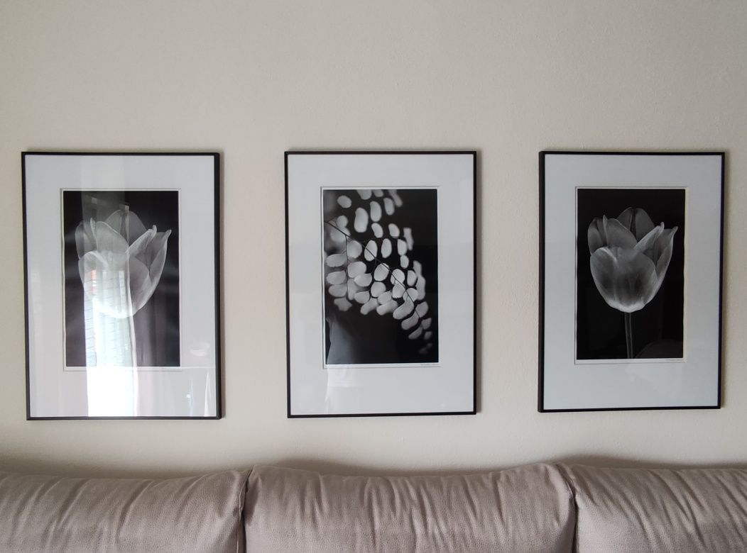 Set de 3 quadros a preto e branco