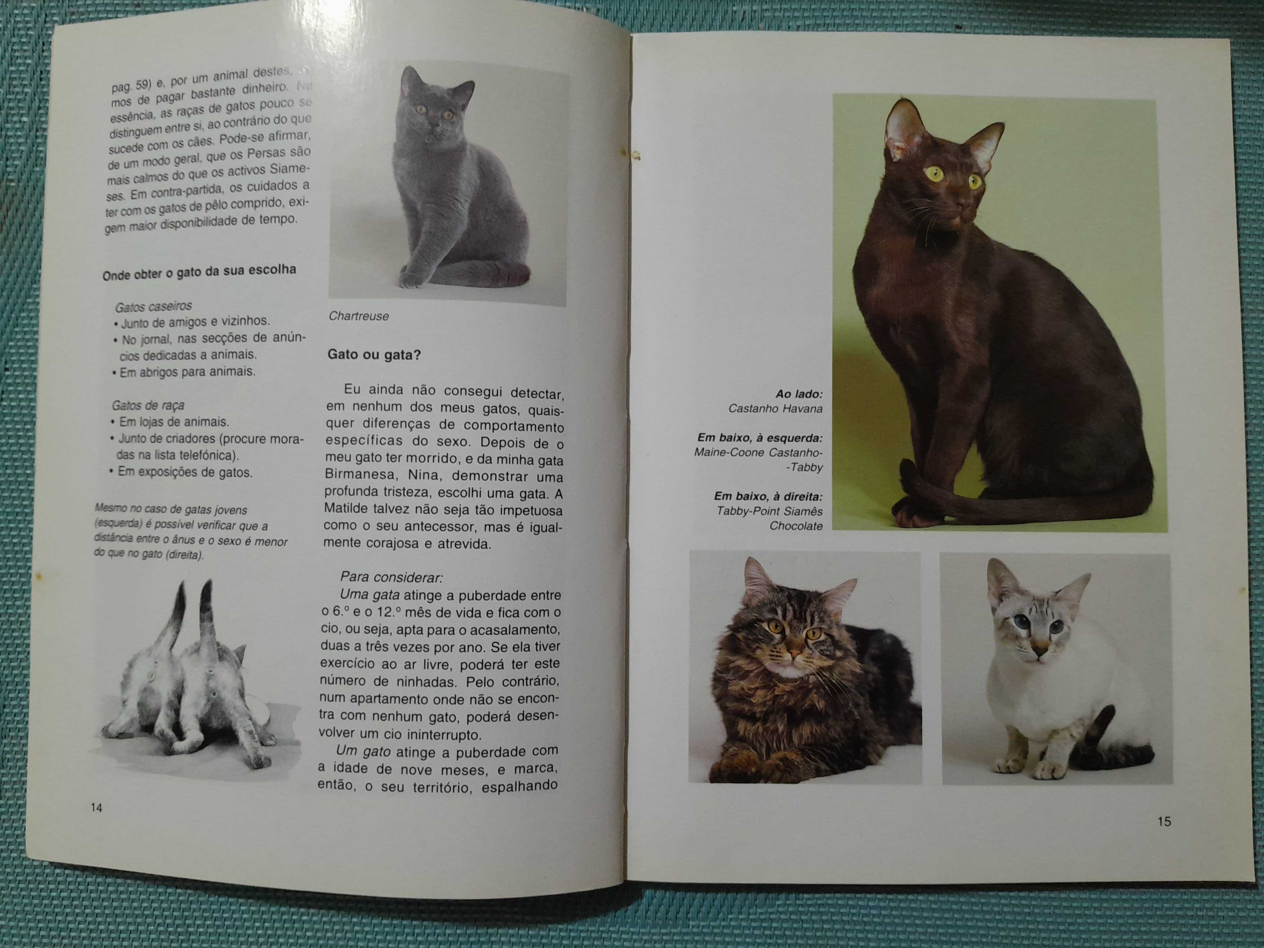 Livro Novo Guia dos Gatos