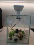 akwarium krewetkarium