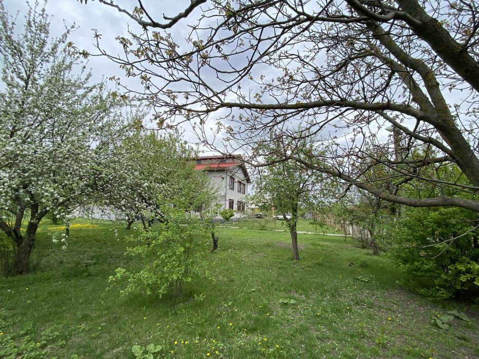 Будинок Знаменівка, центр