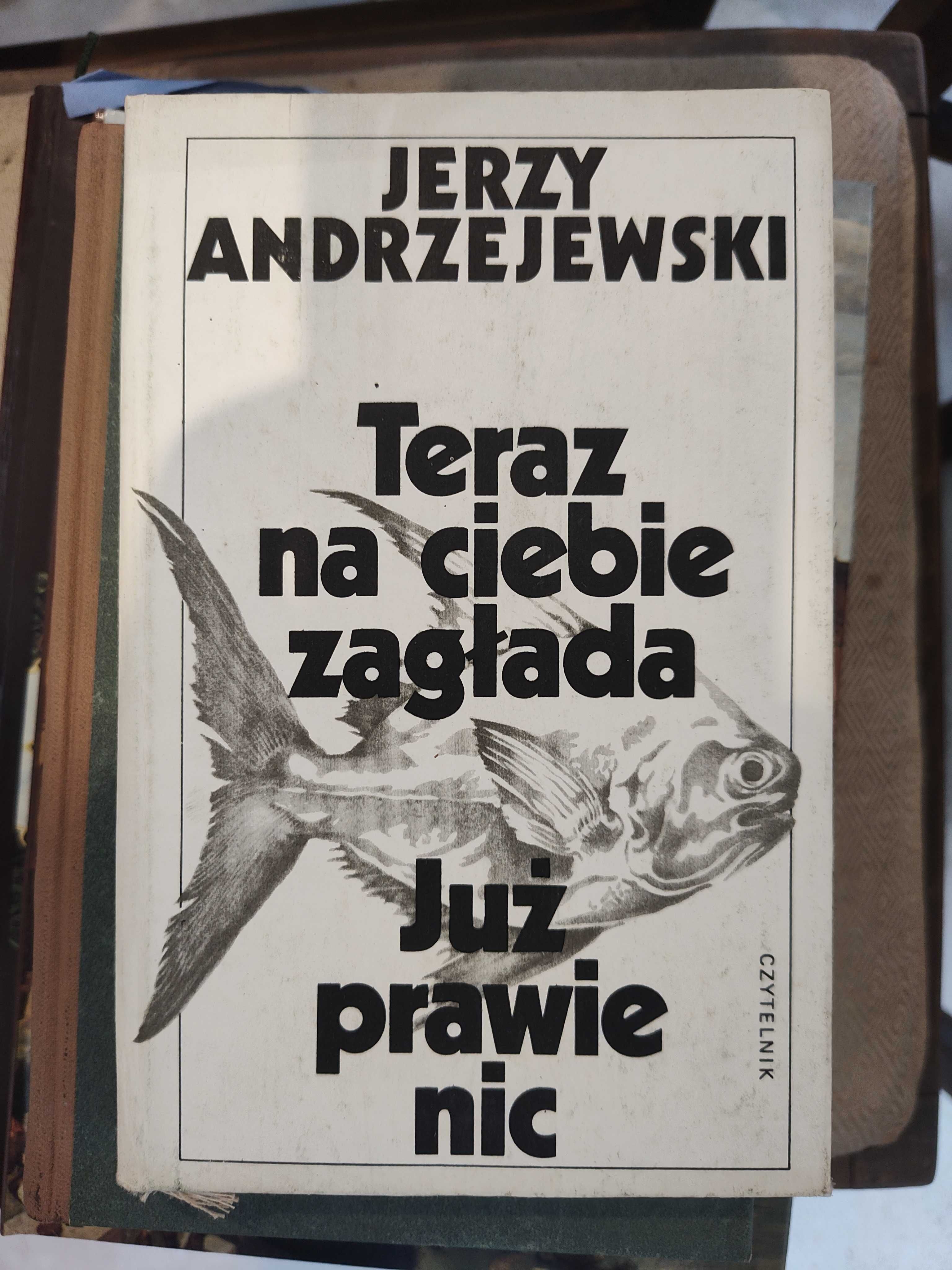 Teraz na Ciebie zagłada, Już prawie nic Jerzy Andrzejewski