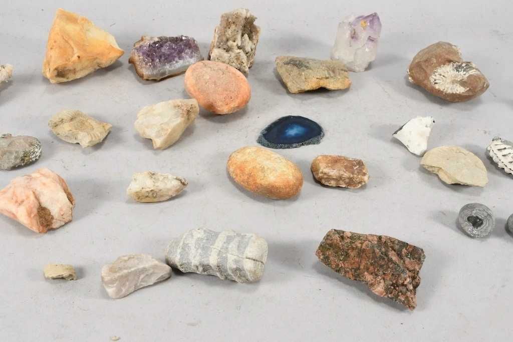 Kolekcja minerałów i skamielin– 1,5 kg Ametyst, muszle, skamieniałości