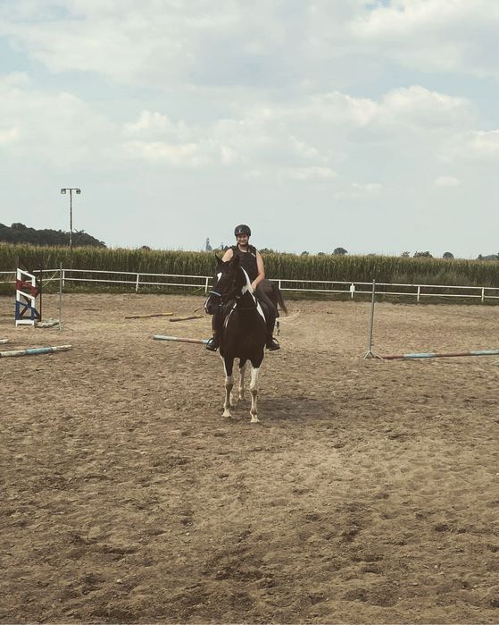 Klacz szuka dobrego domu