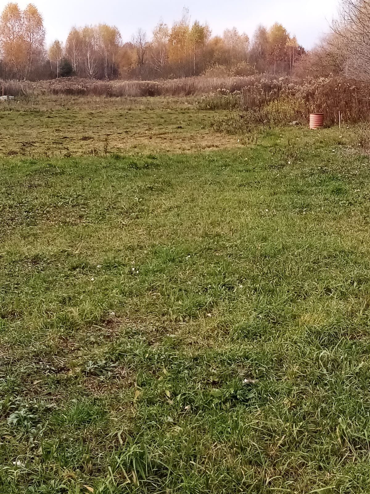 Sprzedam działkę budowlaną Borzęcin Duży